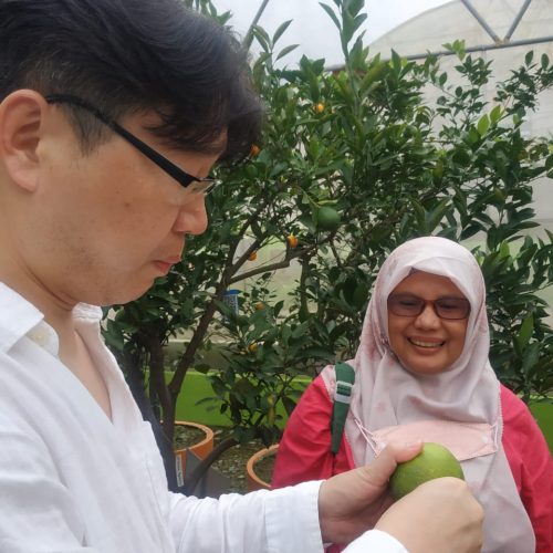 Waycro dari Korsel dan Balai Pertanian Akan Kembangkan Kulit Jeruk Jadi Obat-Obatan